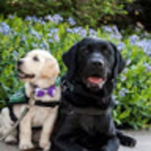 Meet your Posher, Grace